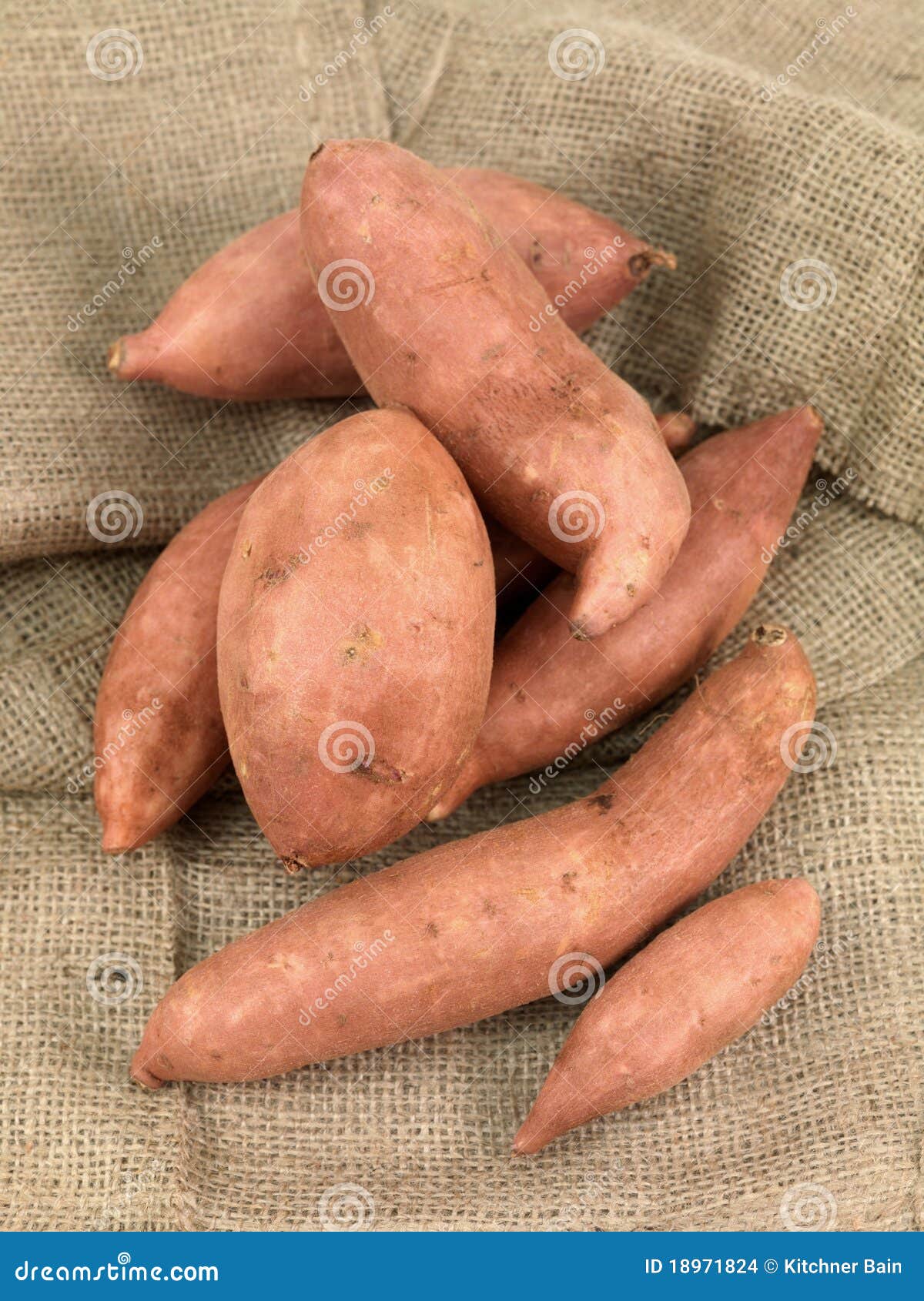 Jersey Sweet Potatoes Stock Photos Free & RoyaltyFree Stock Photos
