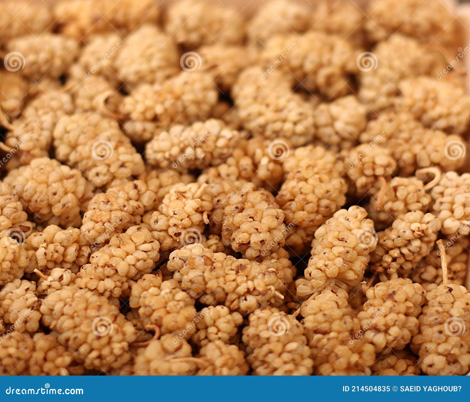 Sweet Puffy Berries Useful for Diabetes Stock Image Image of fondouk