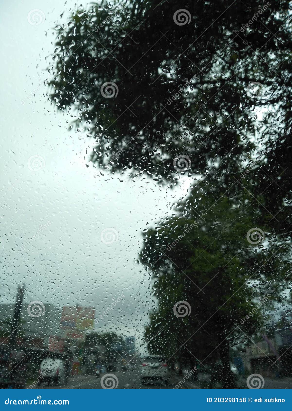 14 670 Sweet Rain Photos Free Royalty Free Stock Photos From Dreamstime