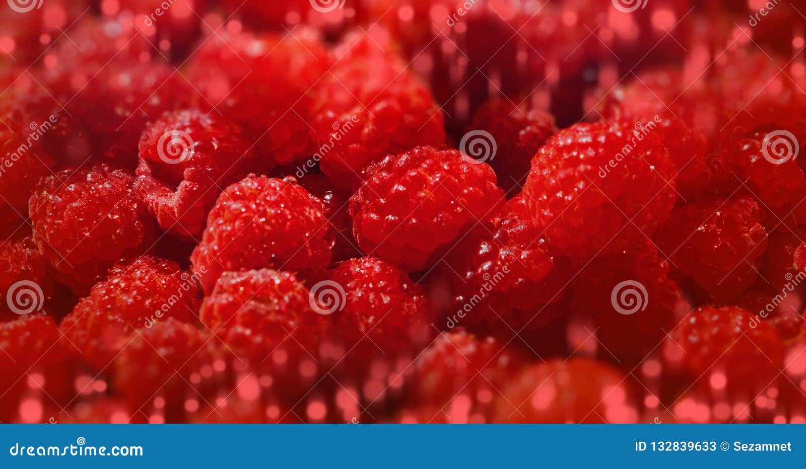 sweet raspberry background many berries banner