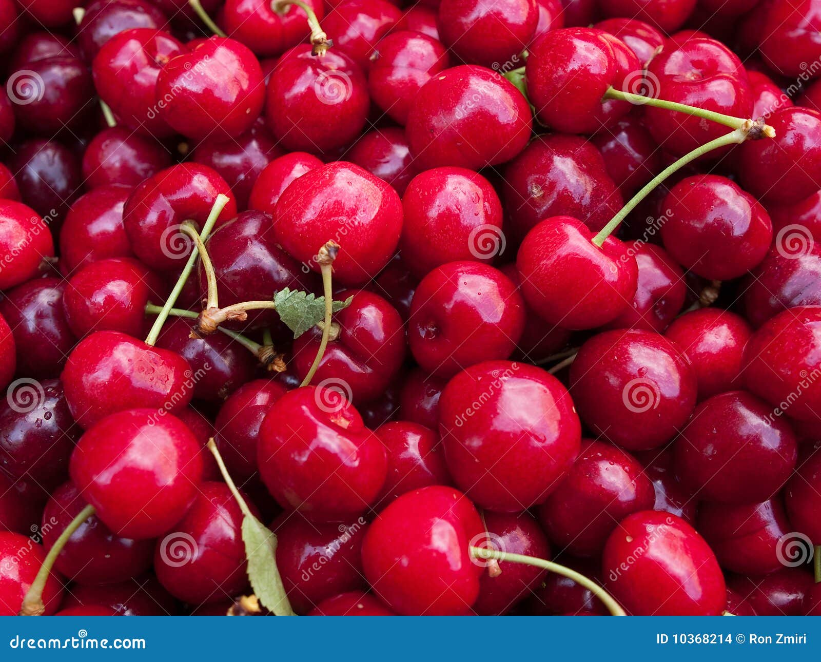 Sweet red cherries stock photo. Image of organic, cherry 10368214