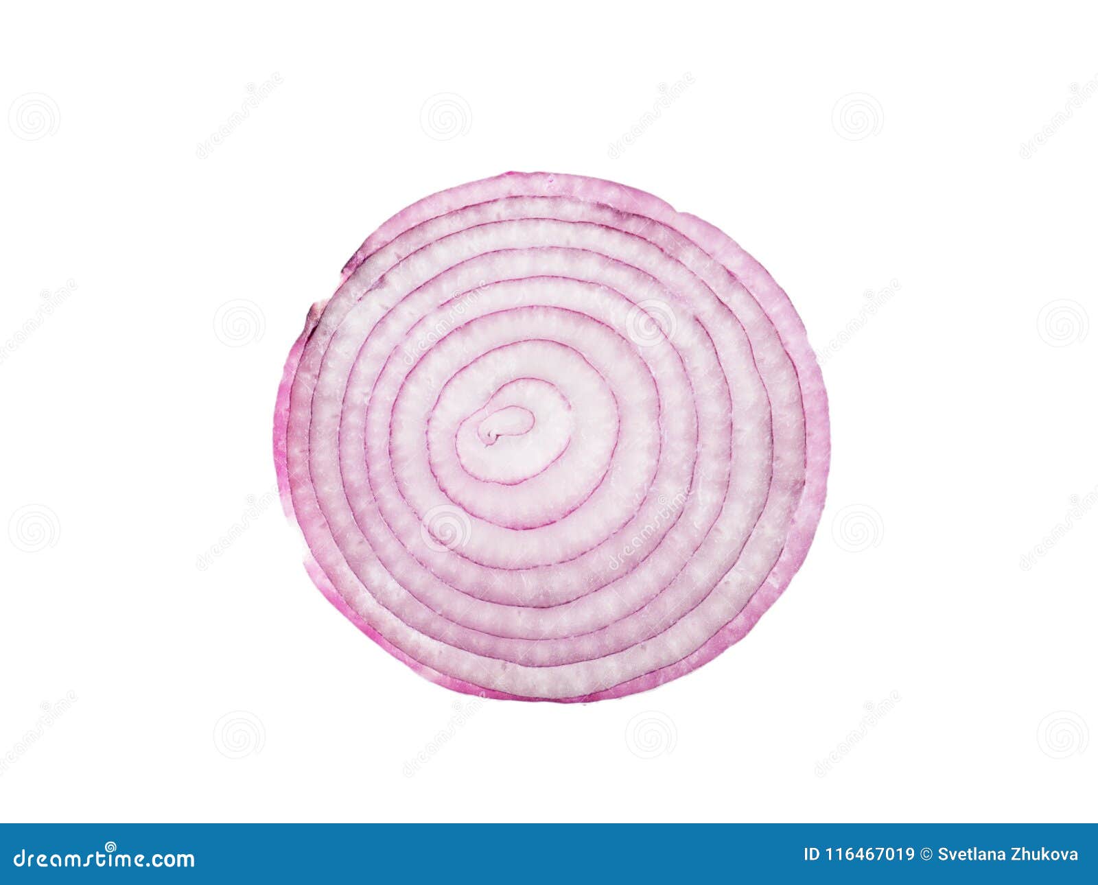 Onion Cross Section Stock Photos Download 1,857 Royalty Free Photos