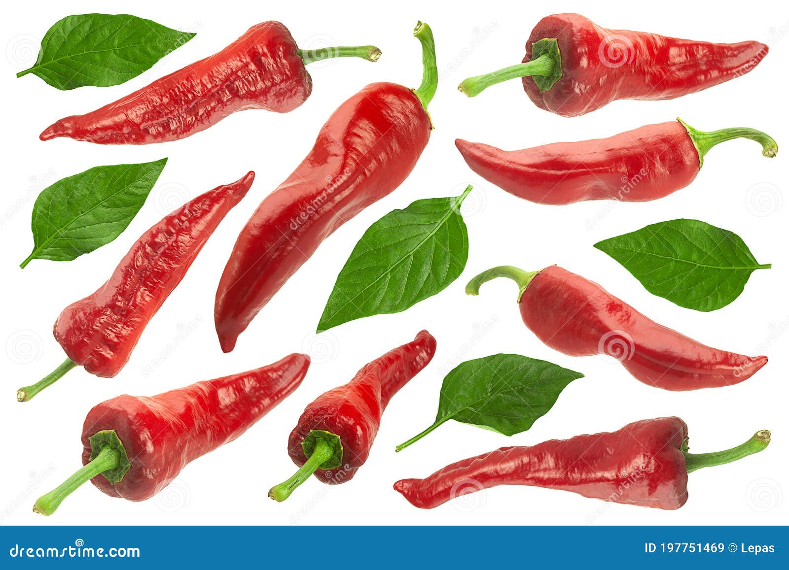 Sweet Red Pepper with Leaf Collection Stock Image Image of collection, paprika 197751469