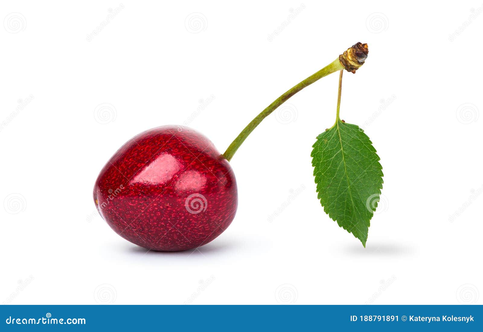 sweet ripe cherry