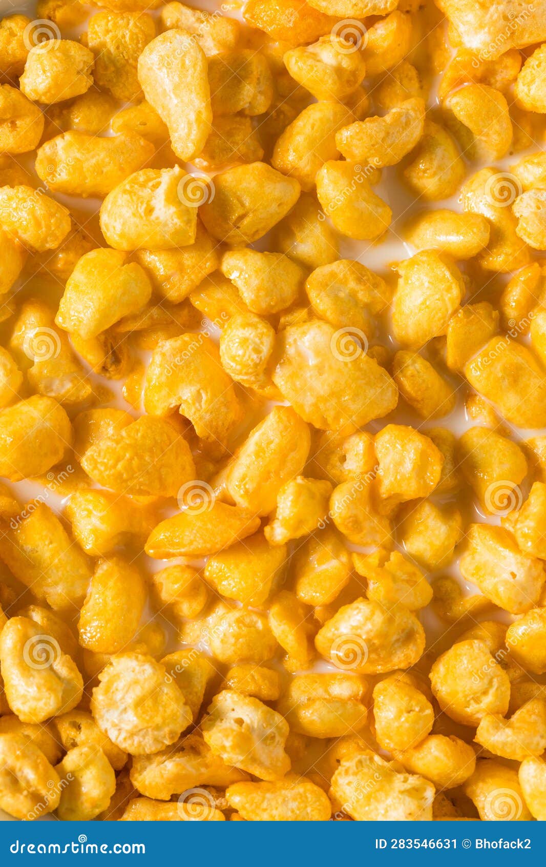Sweet Sugar Puffed Corn Cereal Stock Image Image of popped, meal