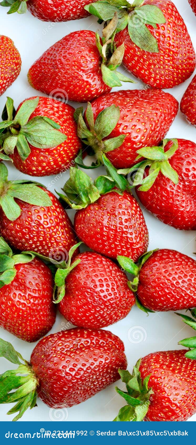 Sweetest and Most Beautiful Strawberries in Red Berries Stock Photo - Image of juicy, fresh: 221441992 Sweetest and Most Beautiful Strawberries in Red Berries Stock Photo - Image of juicy, fresh: 221441992