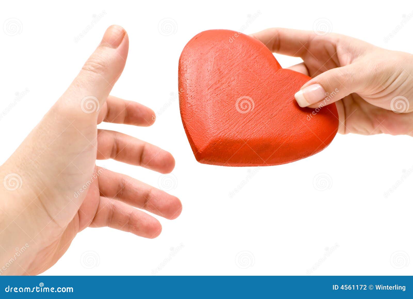 Sweethearts stock photo. Image of hold, beloved, gift 4561172