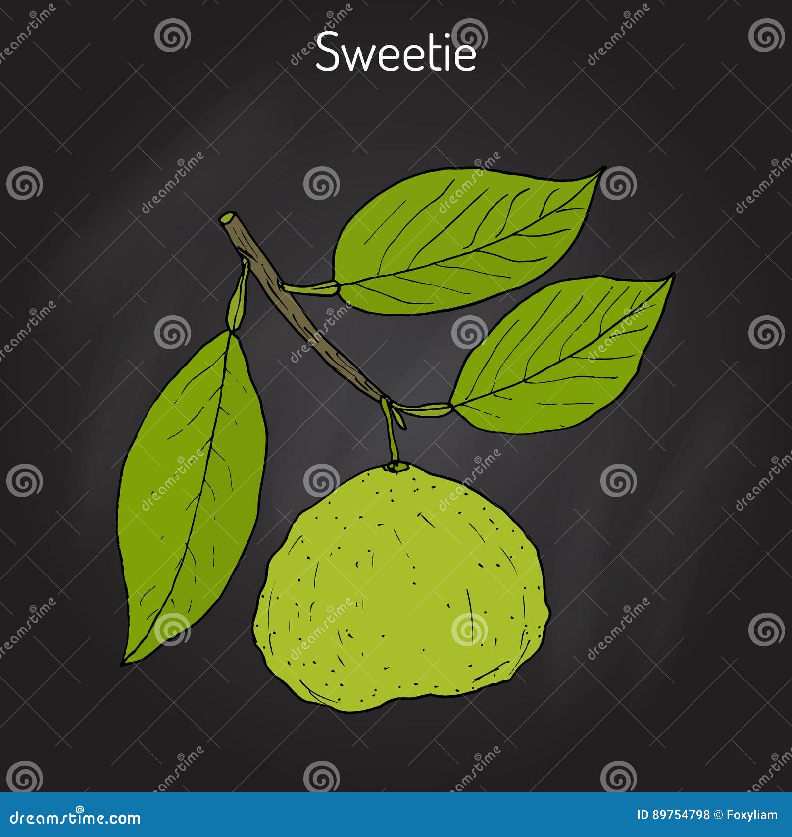 sweetie citrus sweetie citrus