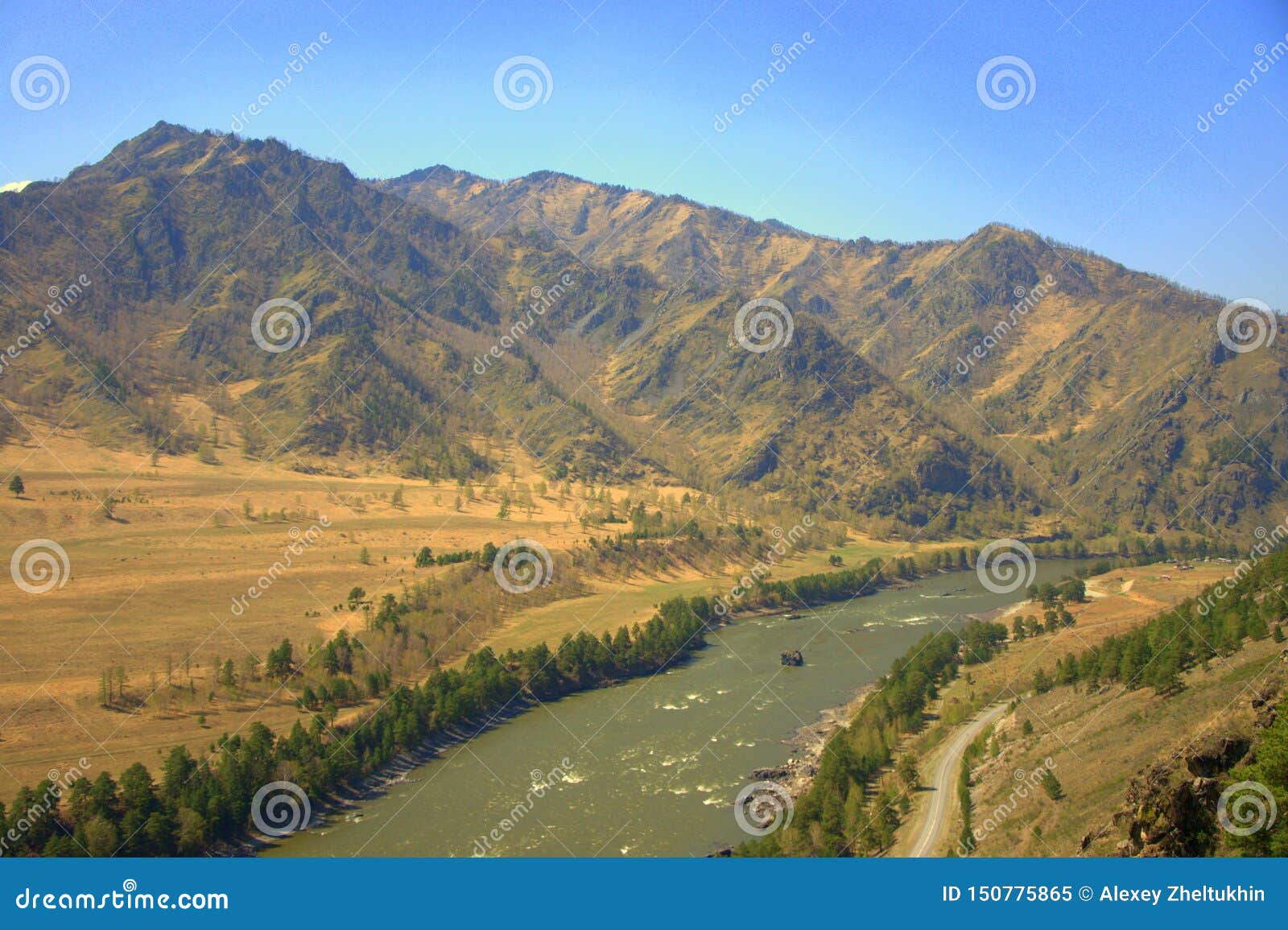 The Swift Katun River Carries Its Turquoise Waters Along The Foot Of