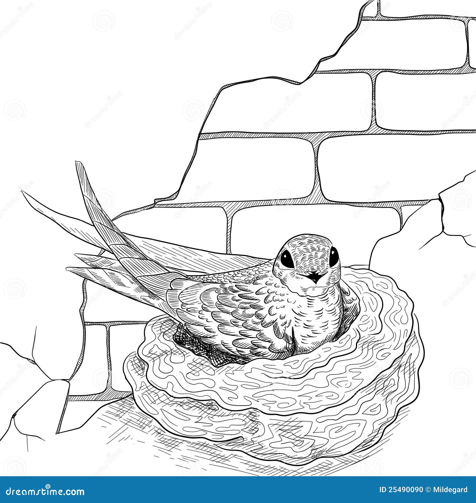 Bird Sits in a Nest Coloring Page Graphic by MyCreativeLife