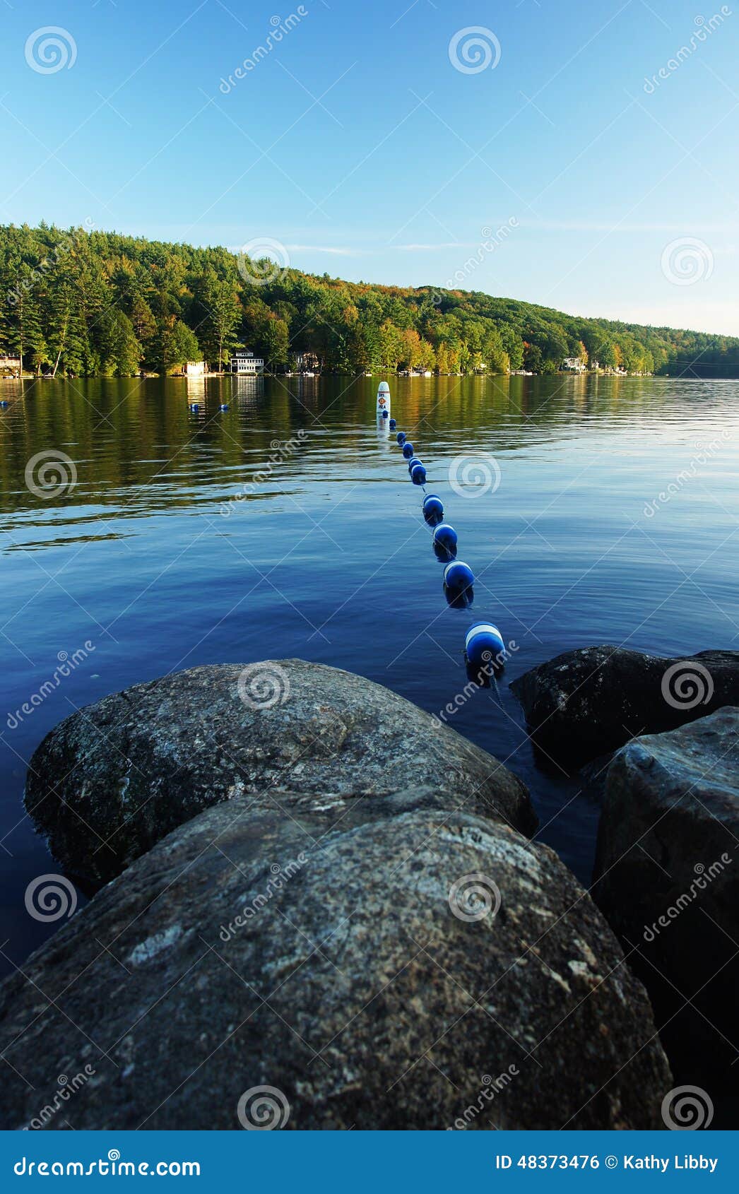 Swim Lines stock photo. Image of line, lake, rope, swim 48373476