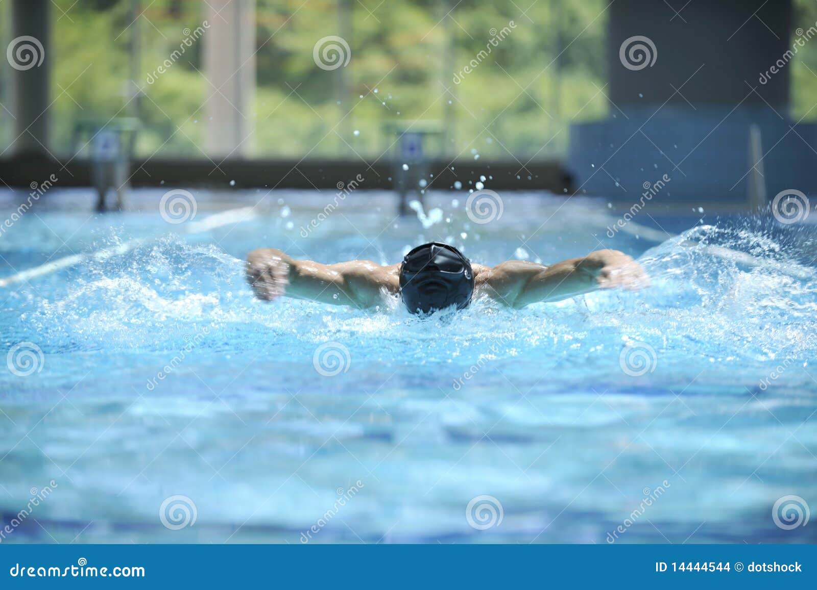 Swim pool stock photo. Image of muscle, active, exercise 14444544