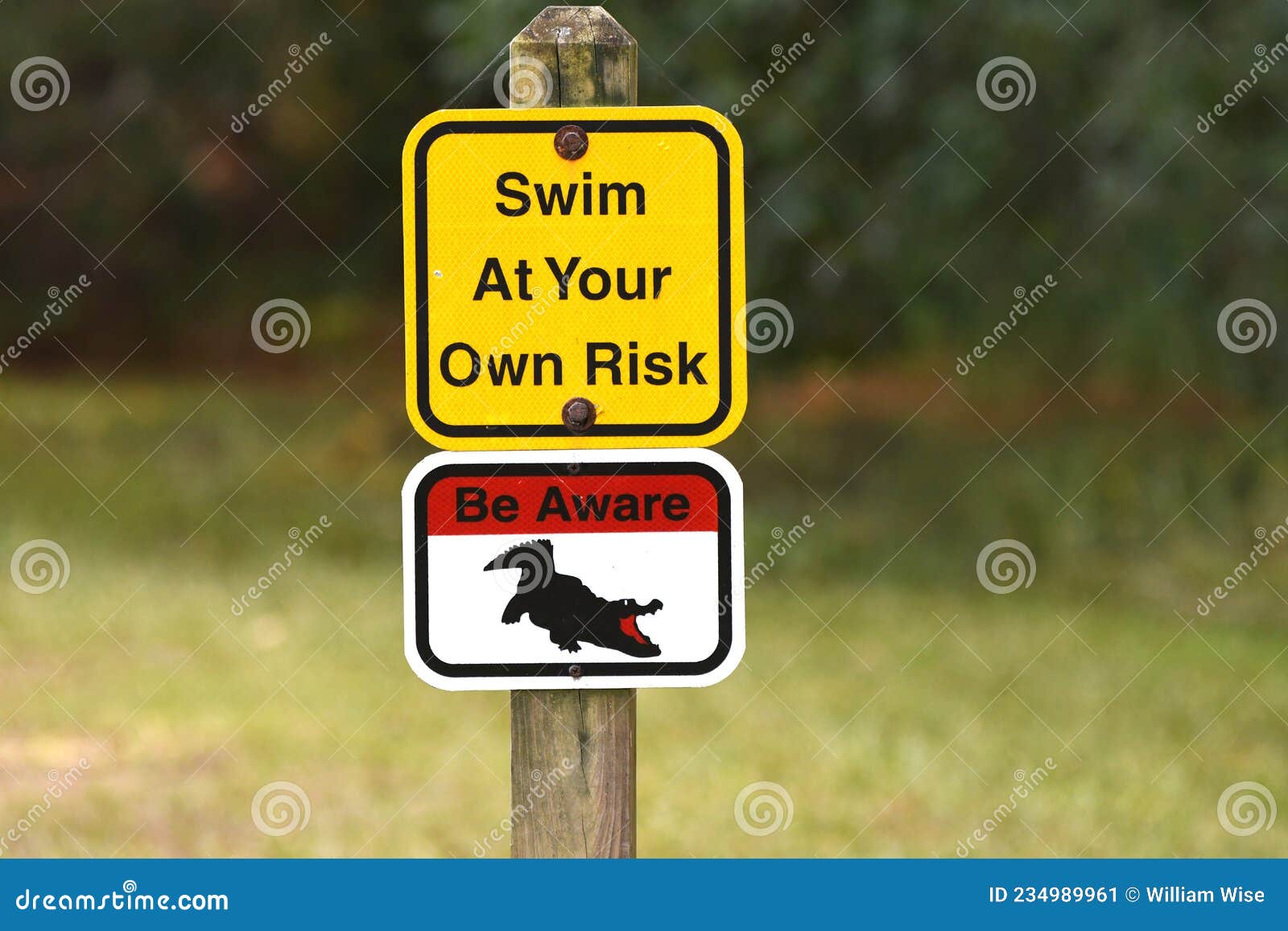 swim at your own risk alligator warning sign