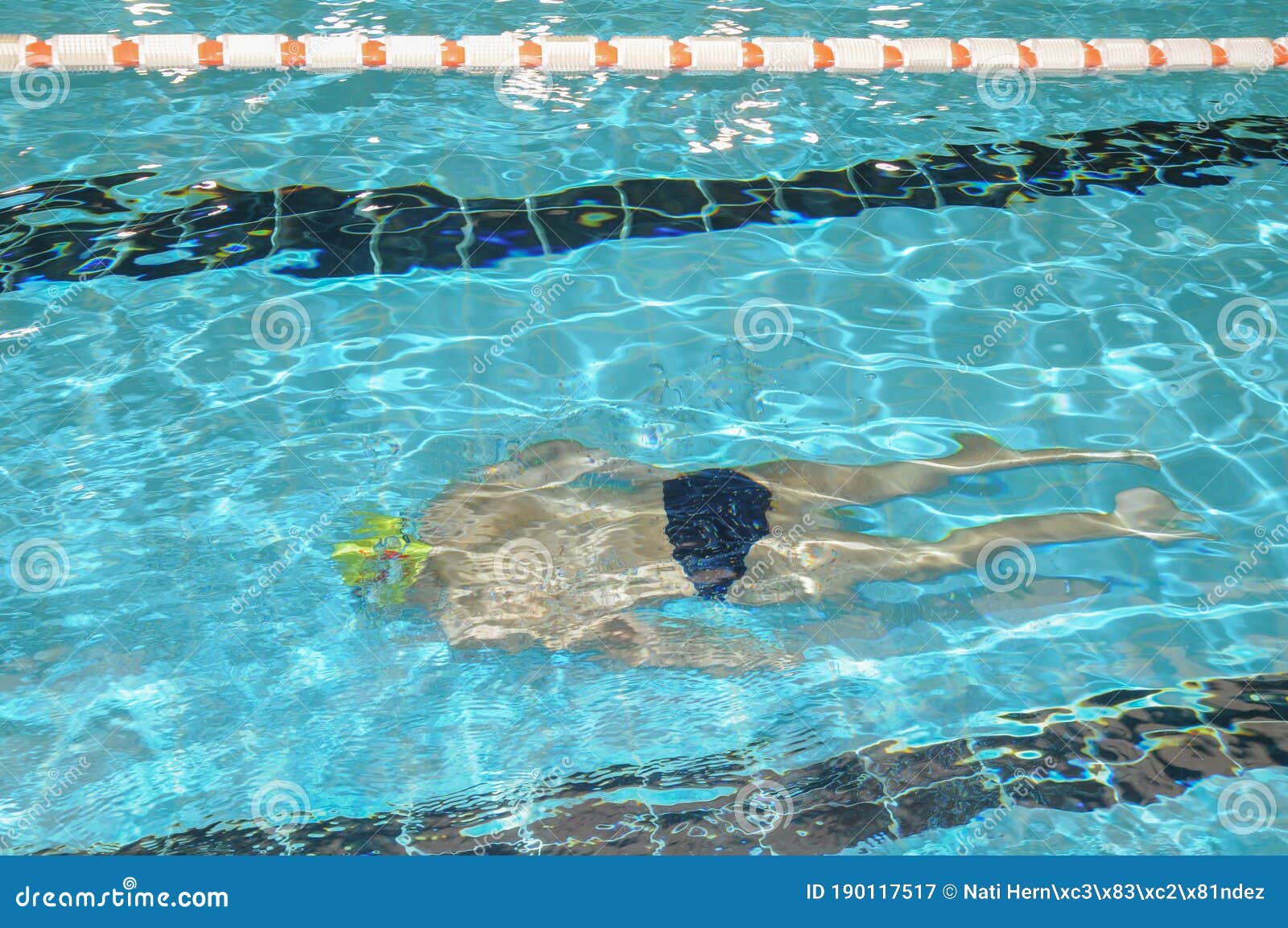 swimmer, man swimming underwater in a pool