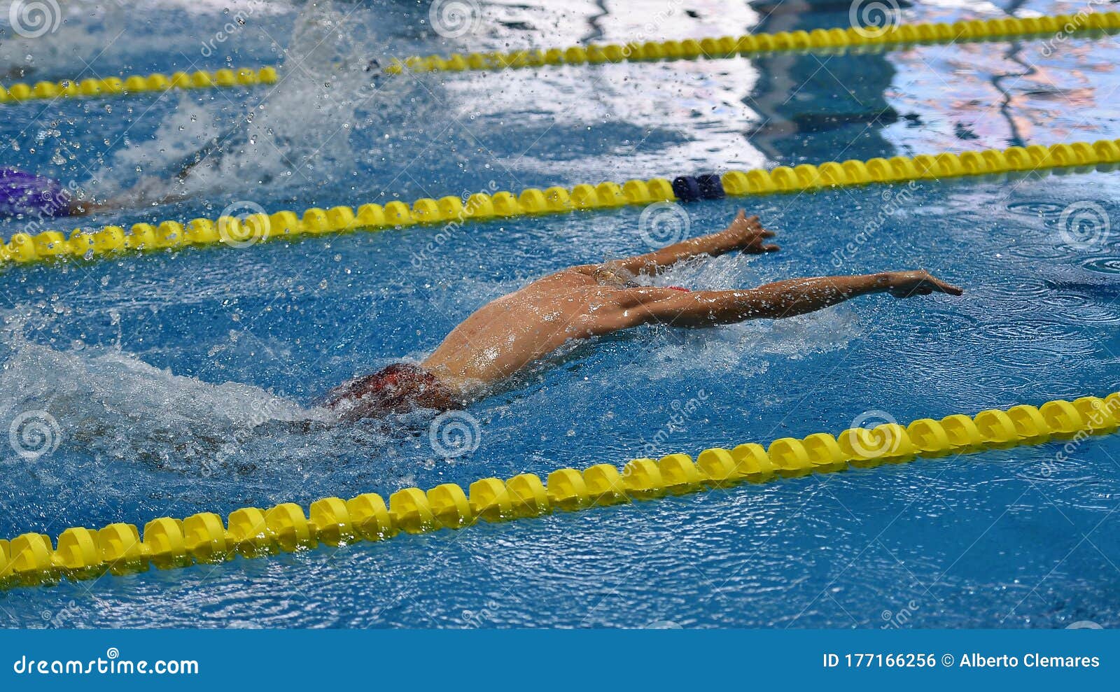 Swimmer in a outdoor pool stock photo. Image of jump - 177166256