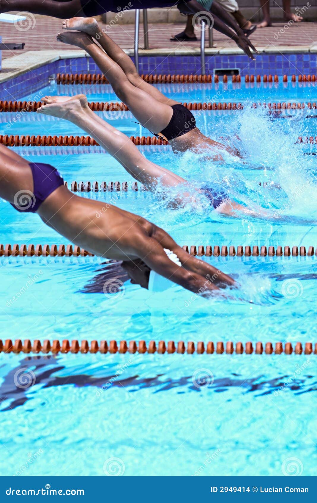 Swimmers Stock Images - Image: 2949414