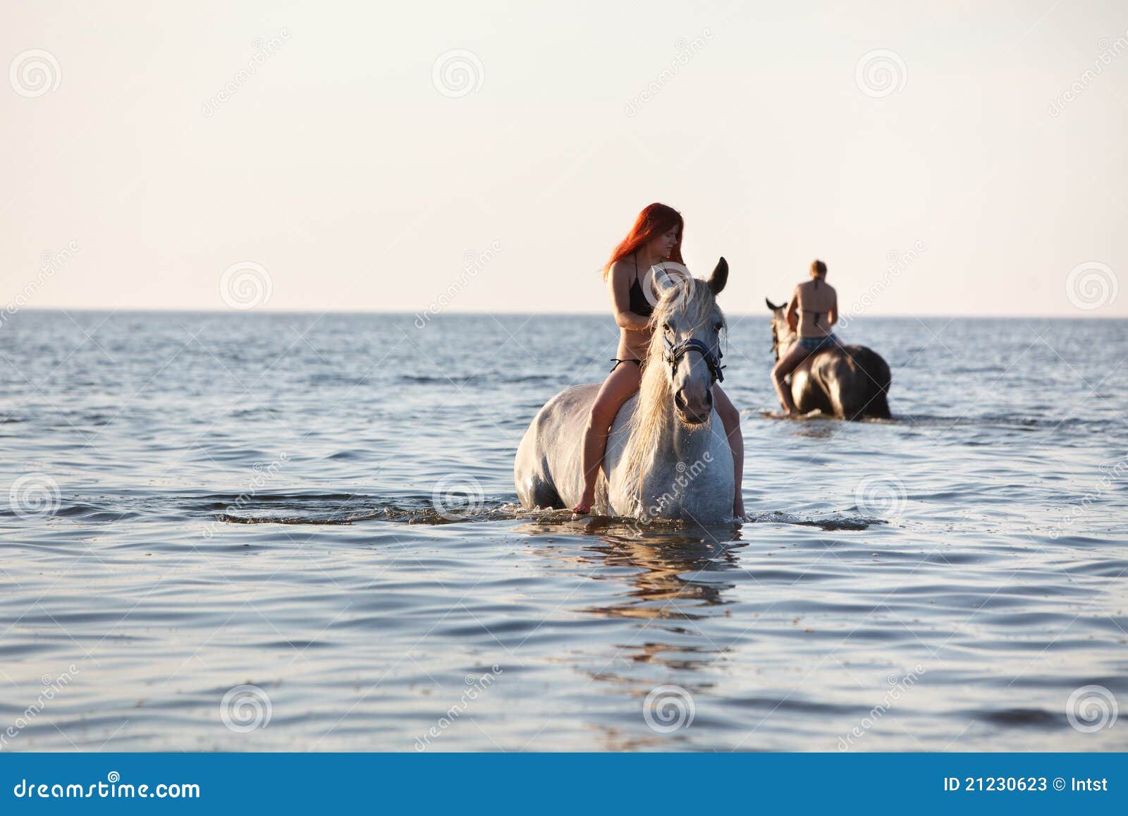 Swimming with horse stock image. Image of lake, bath 21230623