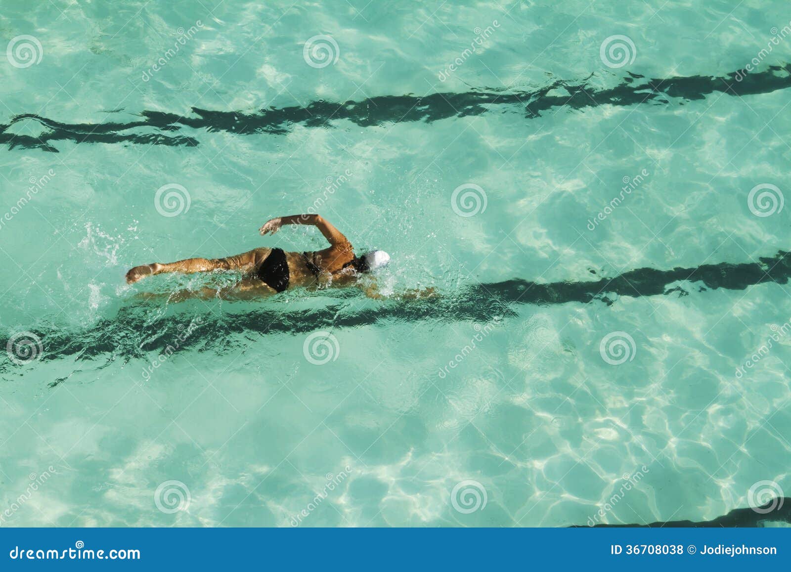 Swimming Laps Overhead View Stock Photo Image of laps, outdoor 36708038
