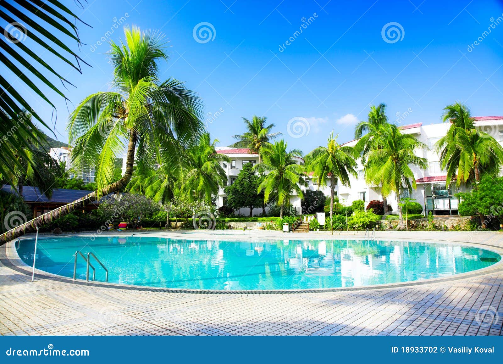 Swimming pool stock photo. Image of relaxation, paradise 18933702