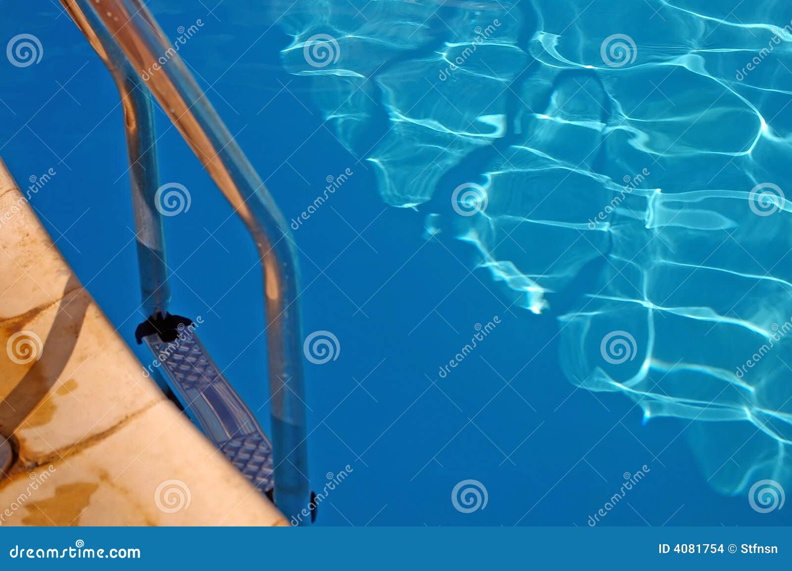 Swimming Pool Ladder in Water Stock Photo Image of cool, healthy 4081754