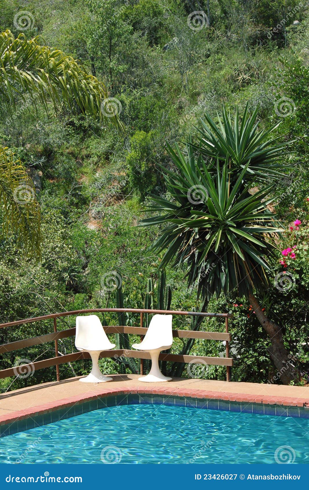 Swimming Pool in Nairobi, Kenya Stock Image Image of safari, relax