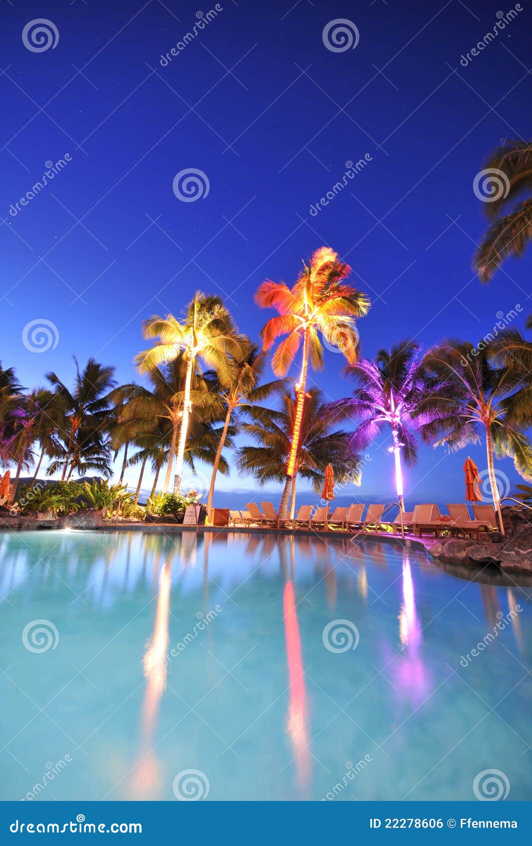 Swimming Pool with Palm Trees at Night Time Stock Photo Image of