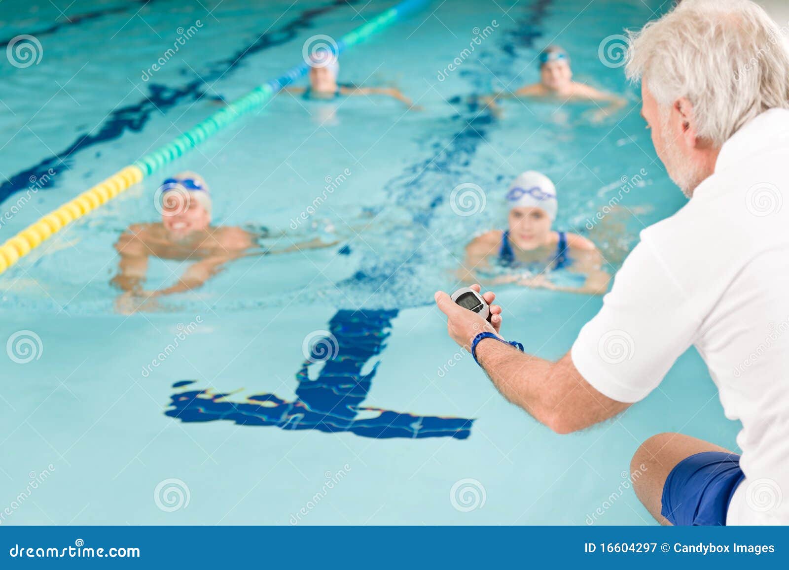Swimming Pool Swimmer Training Competition Stock Image Image of