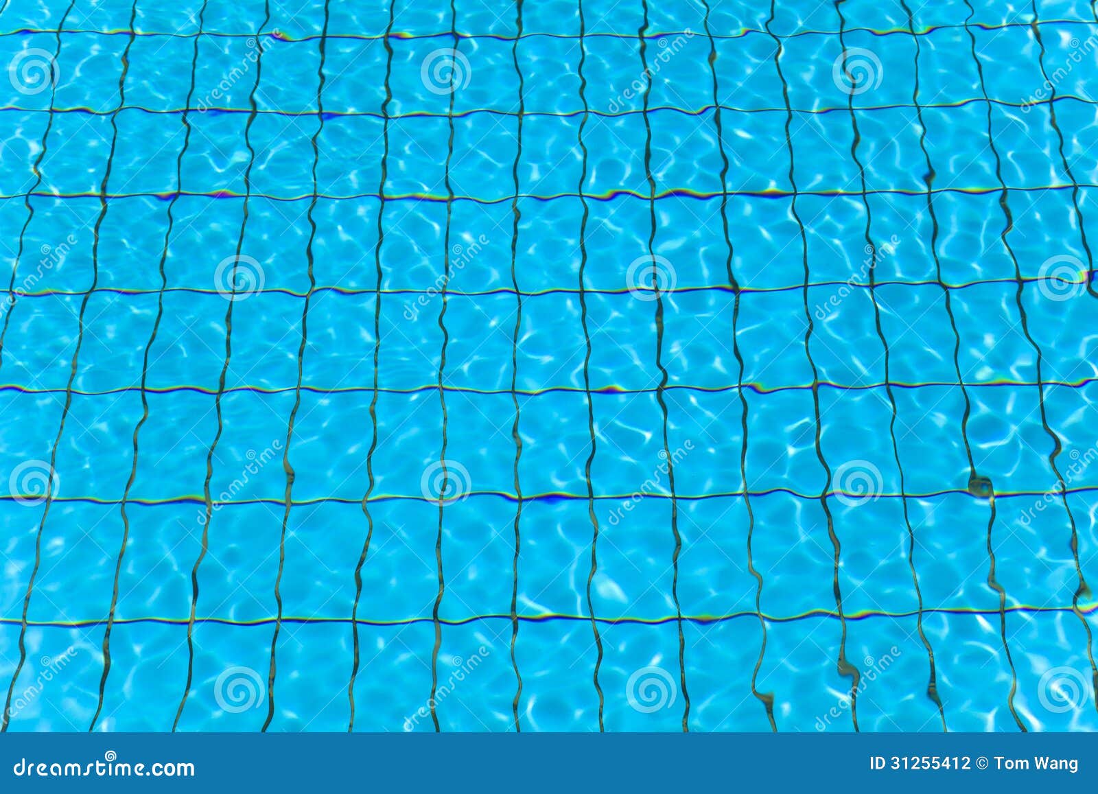 Swimming Pool Water and Wave Stock Photo Image of pool, bottom 31255412