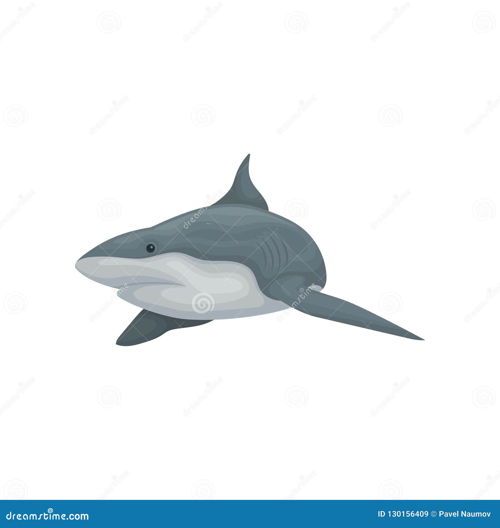 Download Swimming Shark Sea Animal Vector Illustration On A White ...