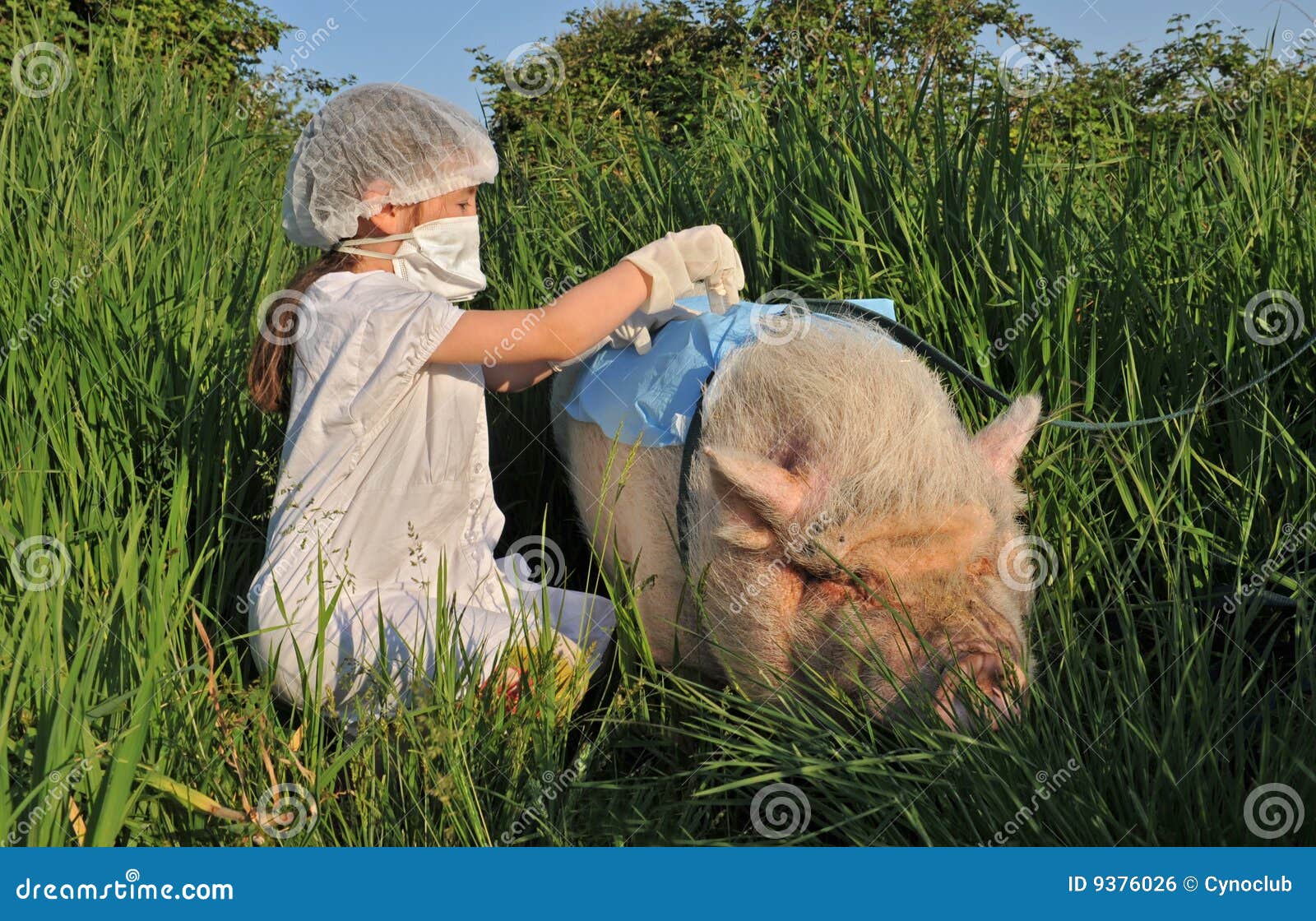 Swine Influenza Flu stock photo. Image of vaccination 9376026