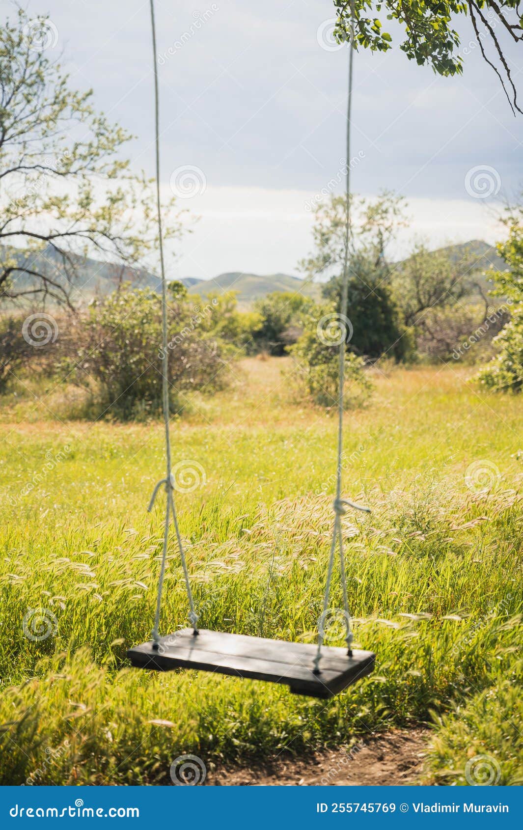 Swing in the Backyard Garden Stock Image Image of backyard, play