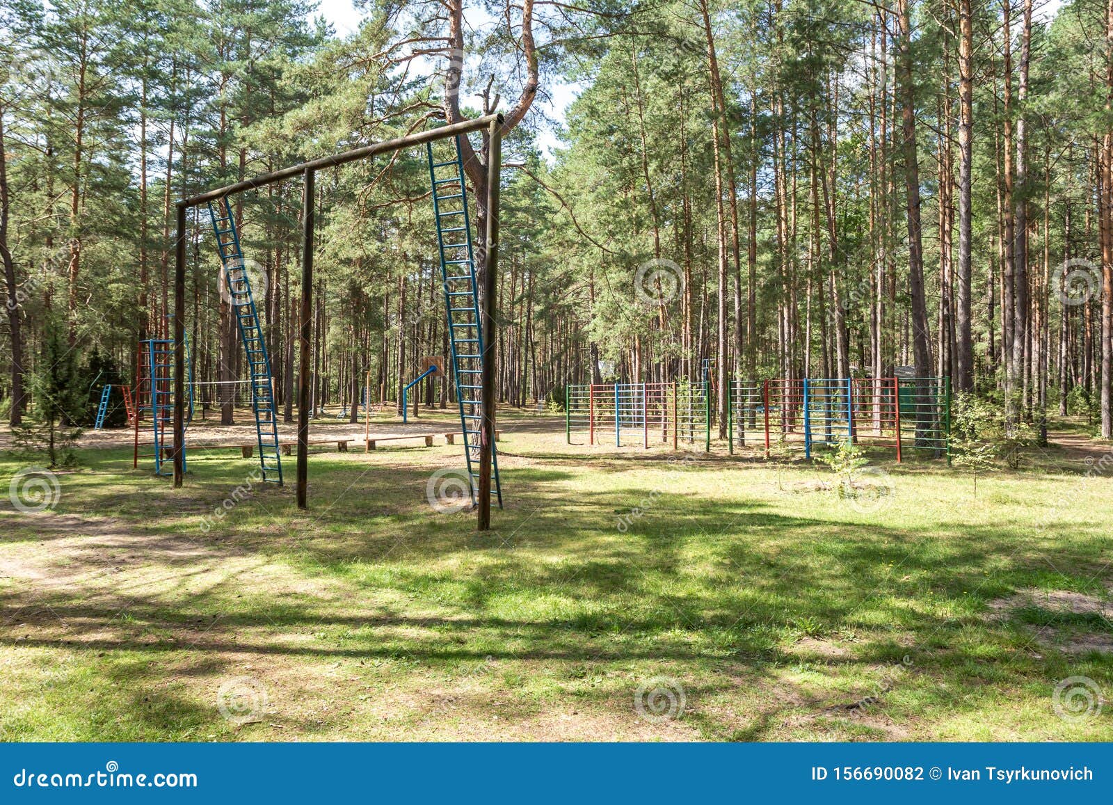 Swing and Horizontal Bars on Playground in Pine Forest Stock Photo