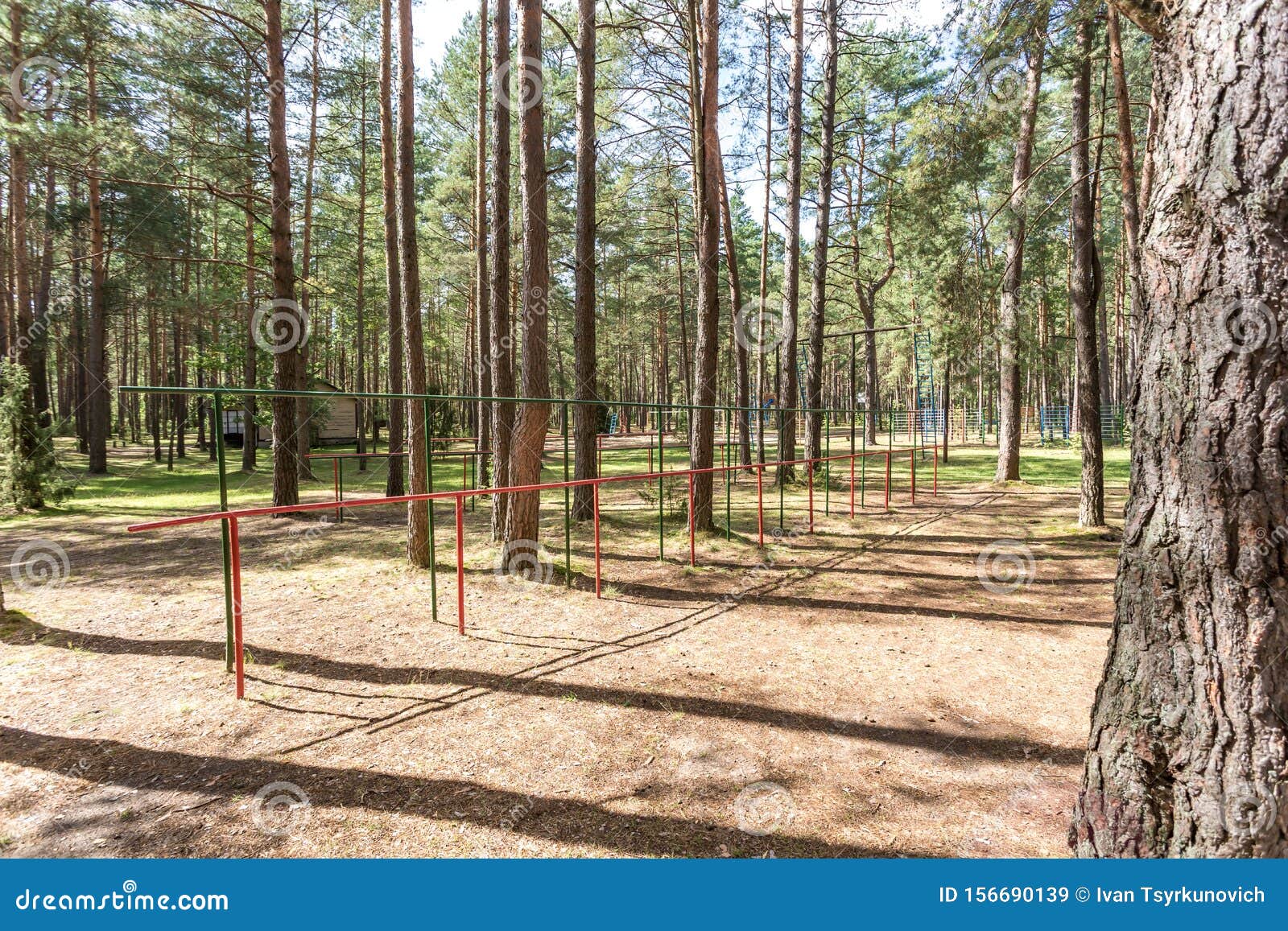 Swing and Horizontal Bars on Playground in Pine Forest Stock Image