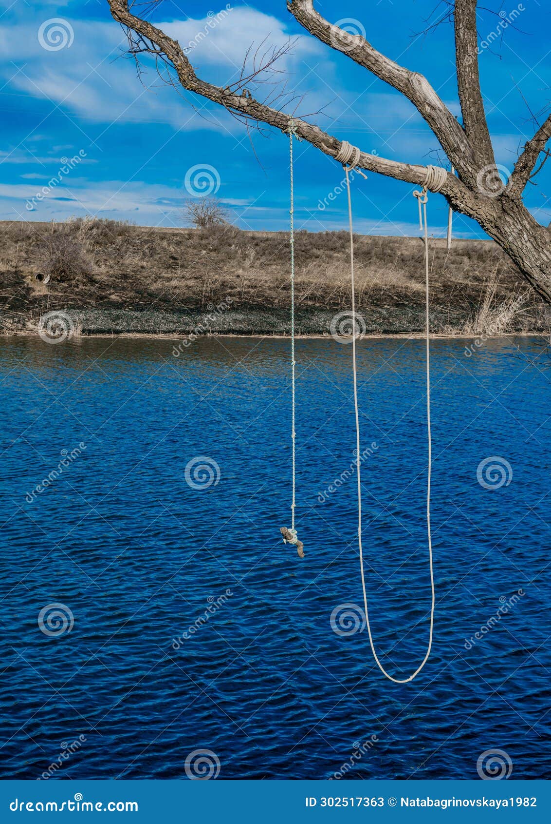 Rope Swing Over Lake Stock Photos - Free & Royalty-Free Stock Photos from  Dreamstime