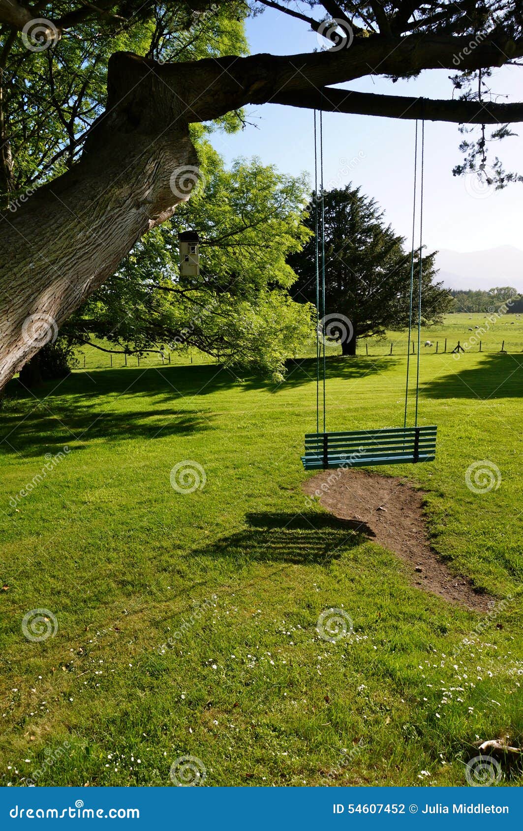 Swing on a tree ireland stock photo. Image of outdoor 54607452