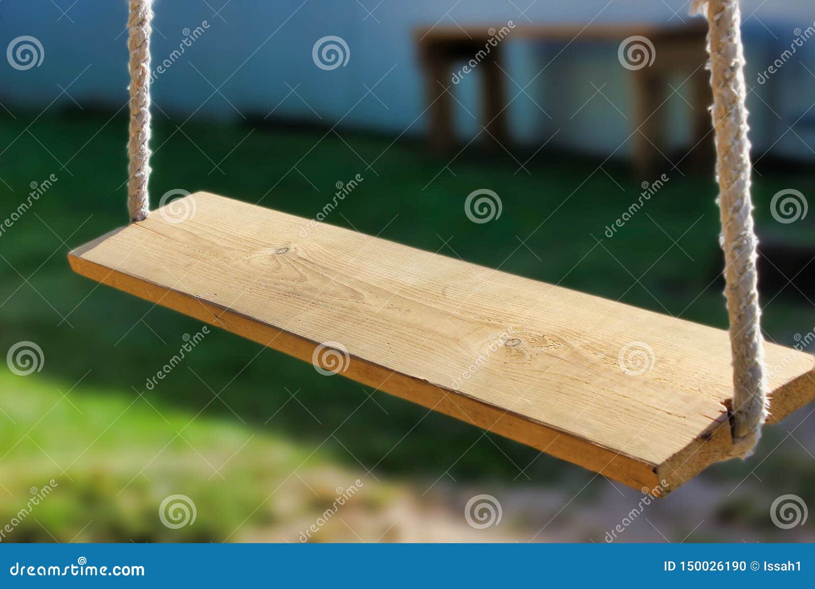 Swing for two on ropes stock photo. Image of blank, dangerous 150026190