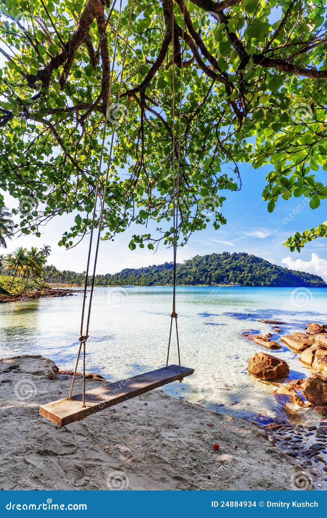 Swings and Palm at Tropical Beach. Stock Photo Image of shore, evening 24884934