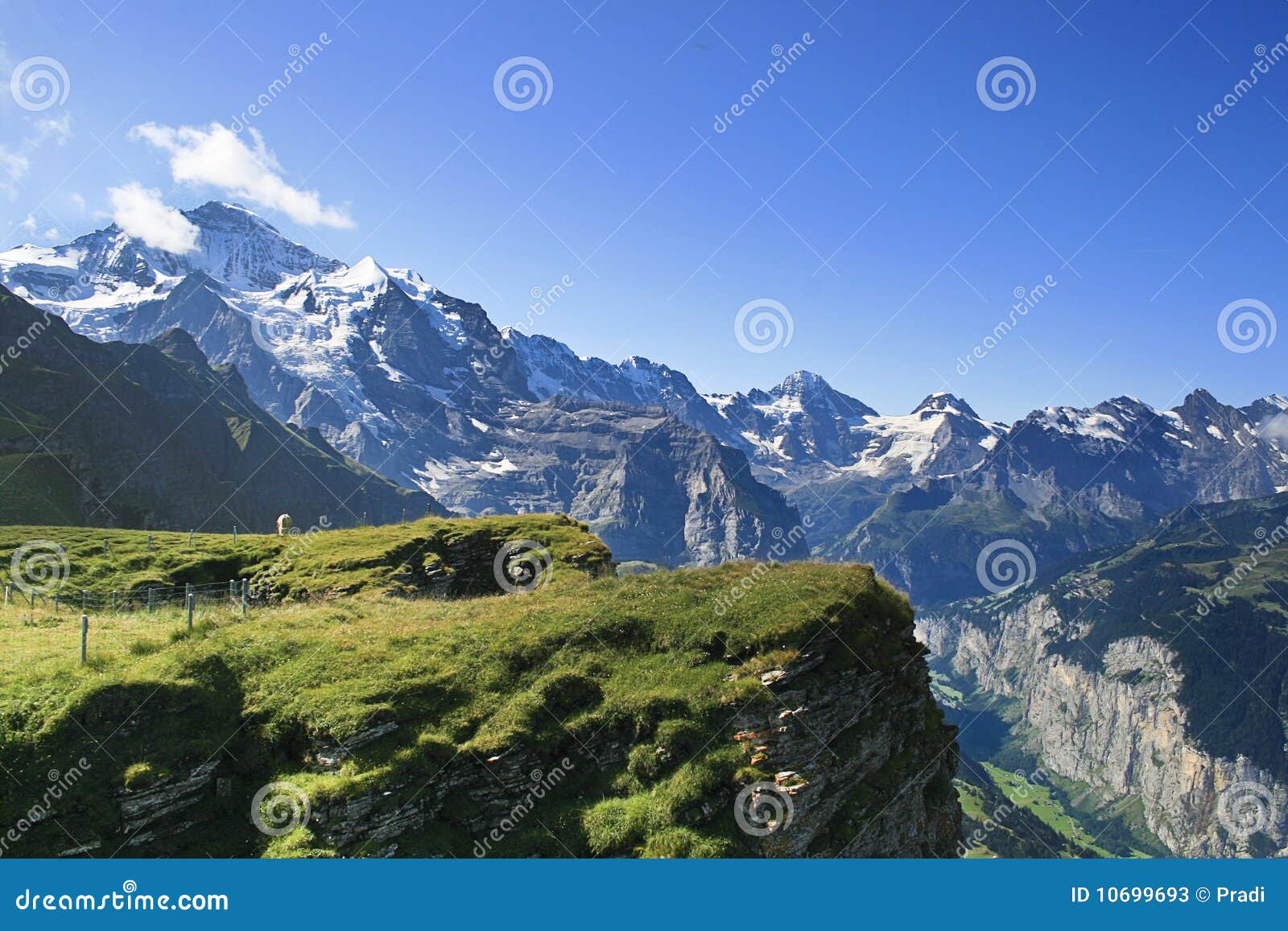 203,396 Swiss Alps Stock Photos - Free & Royalty-Free Stock Photos from  Dreamstime