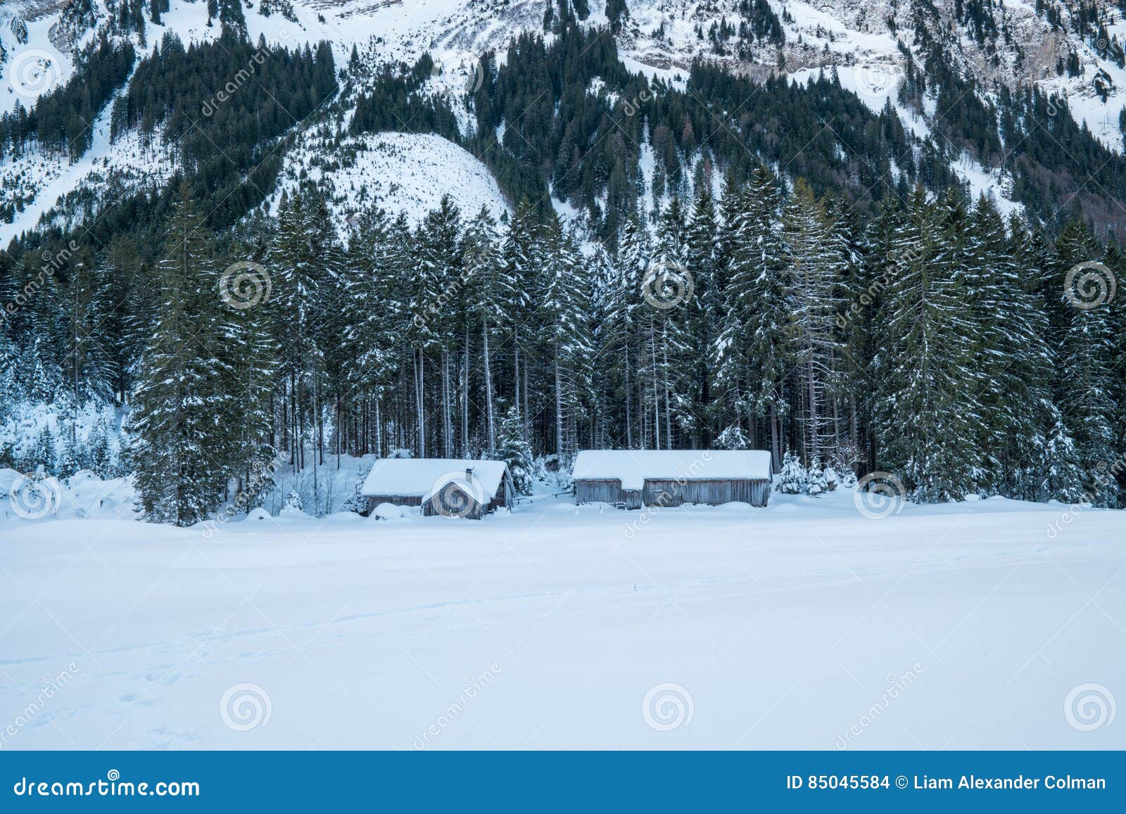 Swiss Winter Barn Under Mountain Stock Photo Image of
