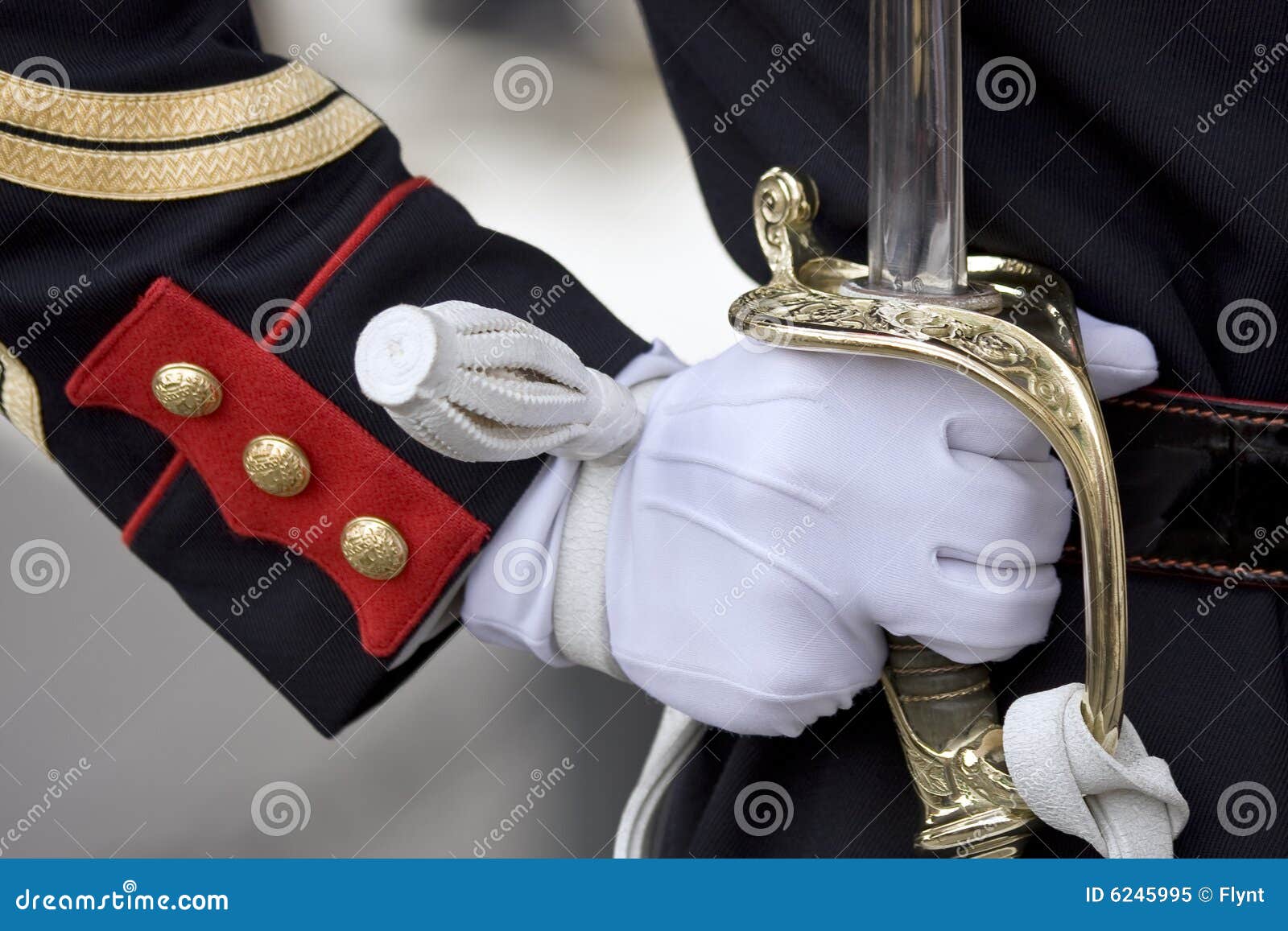sword of honour guard