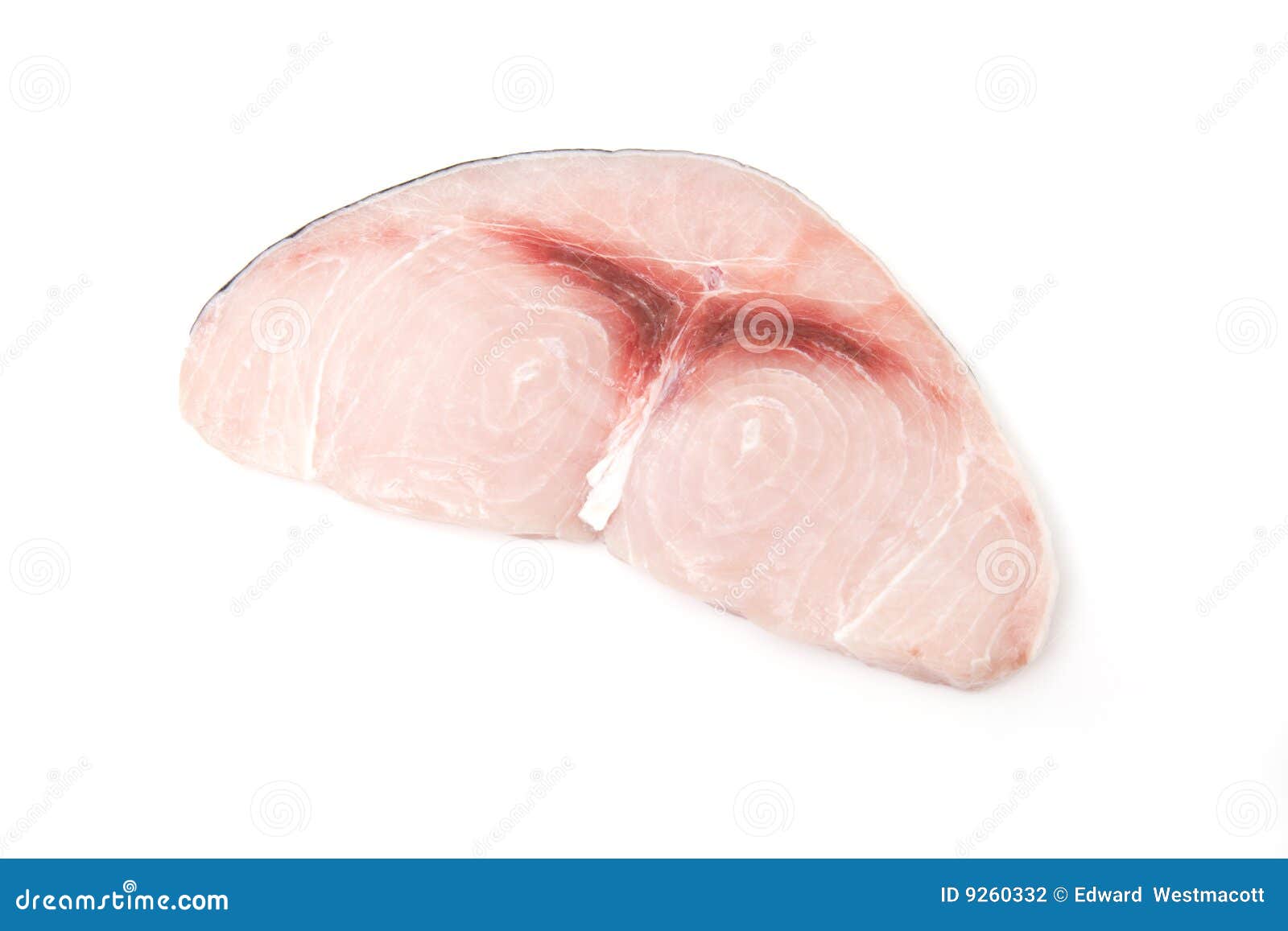 Raw Swordfish Stock Image 21972079
