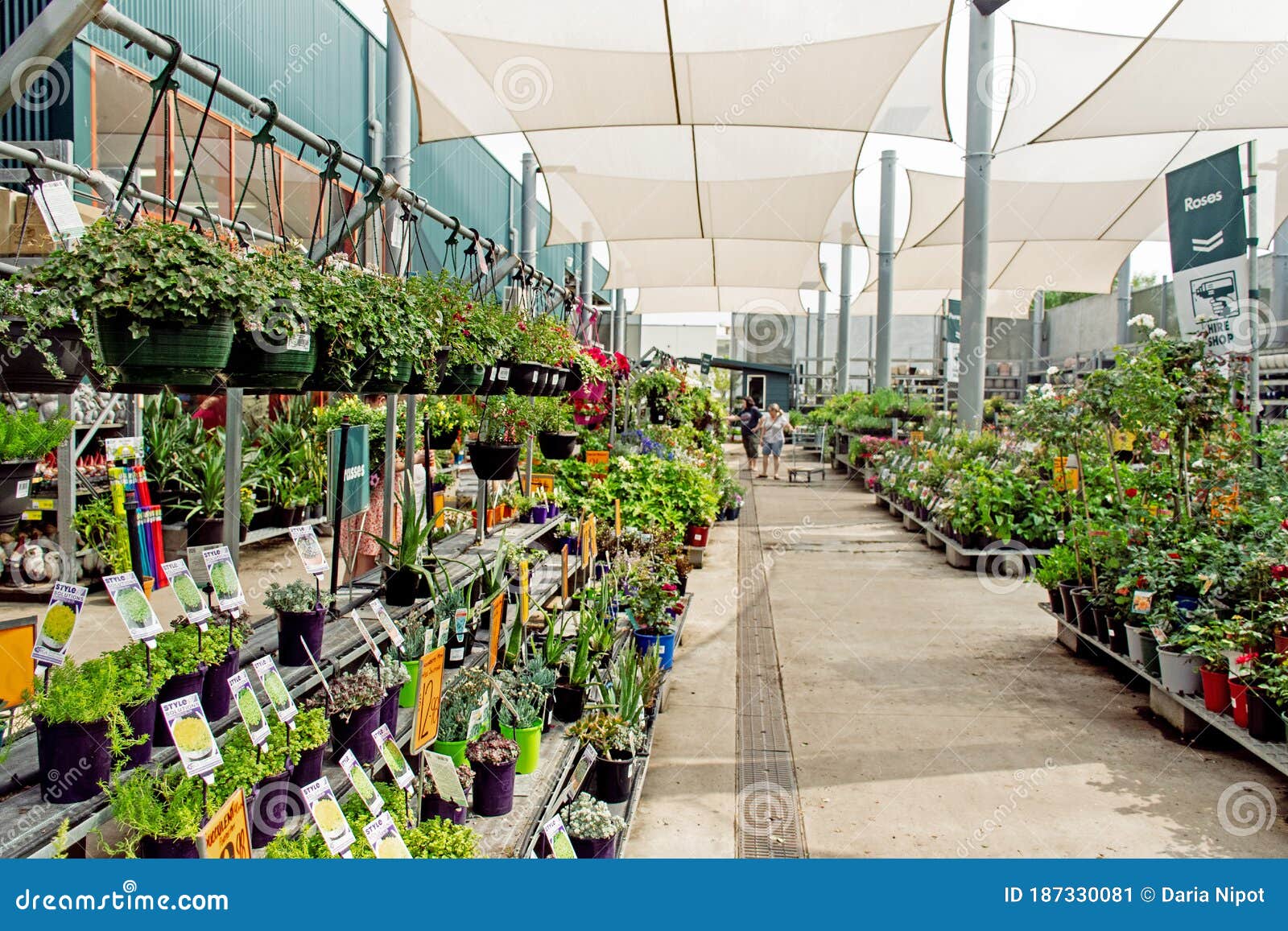 Sydney Australia 01 03 Customers On Nursery Plant Display At Bunnings Warehouse Editorial Photo Image Of Australia Chain Sydney Australia 01 03 Customers On Nursery Plant Display At Bunnings Warehouse Editorial Photo Image Of Australia Chain