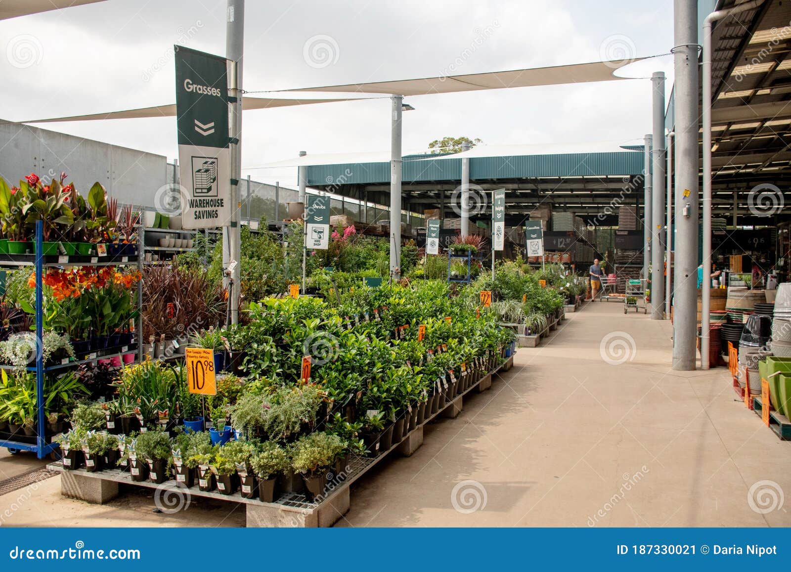Sydney Australia 01 03 Nursery Plant Display At Bunnings Warehouse Editorial Photo Image Of Choose Greenhouse Sydney Australia 01 03 Nursery Plant Display At Bunnings Warehouse Editorial Photo Image Of Choose Greenhouse