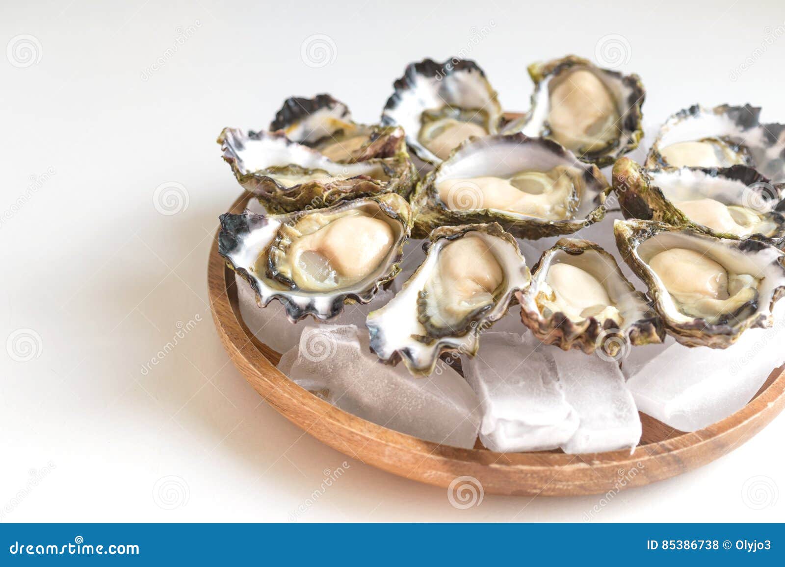 Sydney Rock Oyster stock photo. Image of pacific, nutrition 85386738