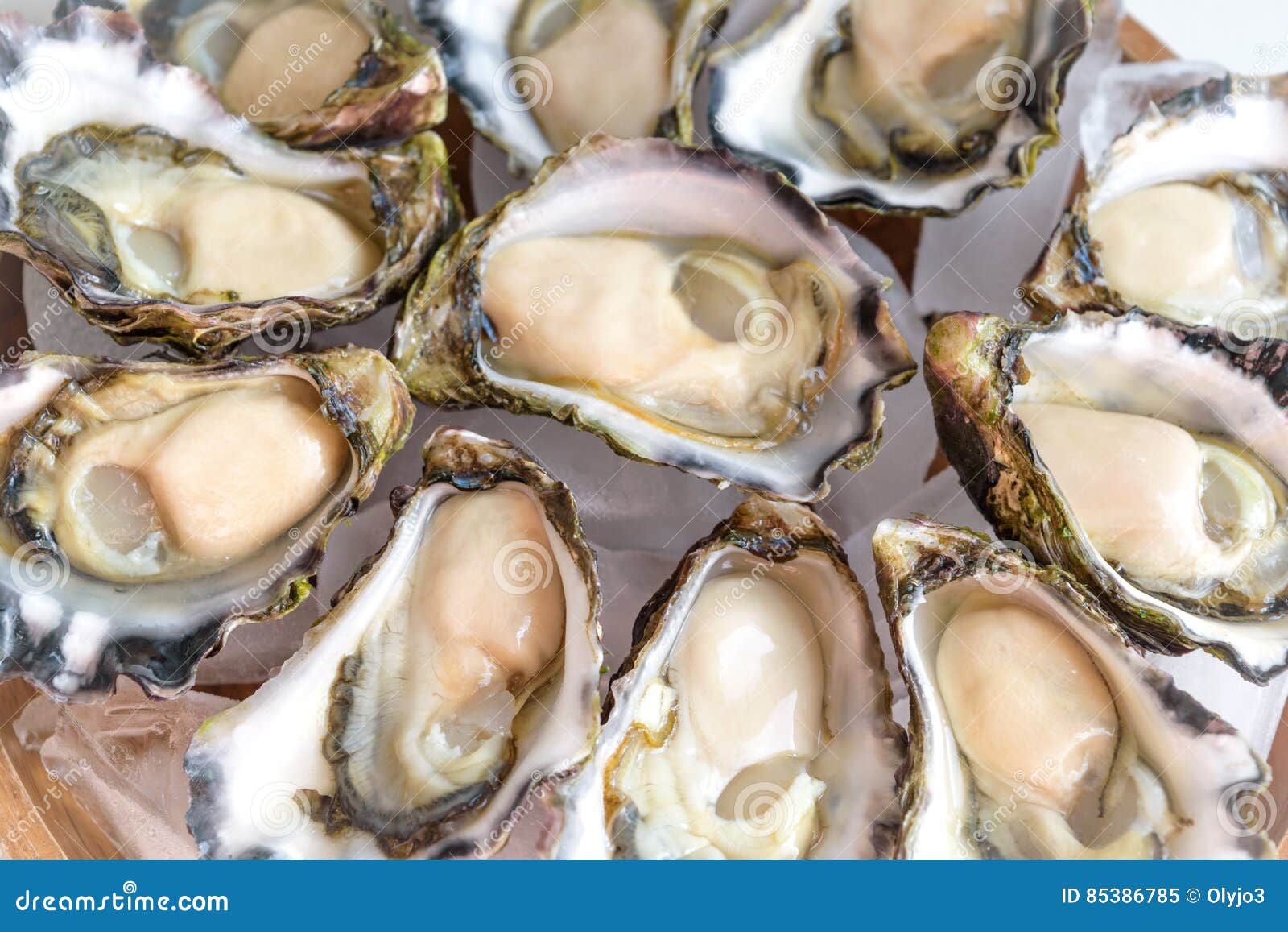 Sydney Rock Oyster stock image. Image of ingredient, appetizer 85386785