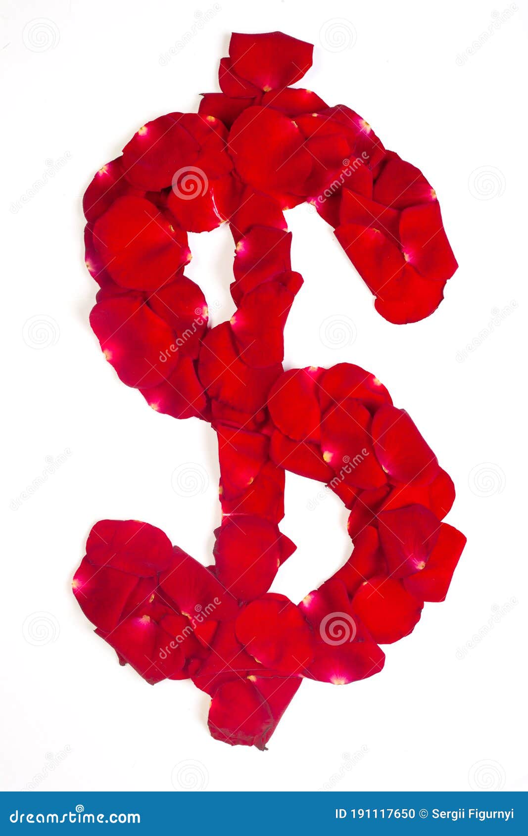 Symbol Dollar Made from Red Petals Rose Stock Photo Image of petal