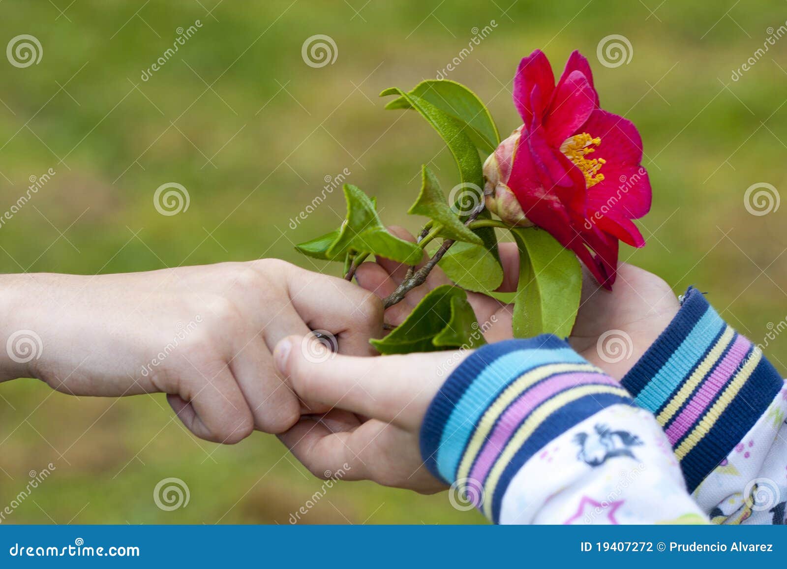 Symbol of Friendship and Love Stock Photo - Image of connection ...