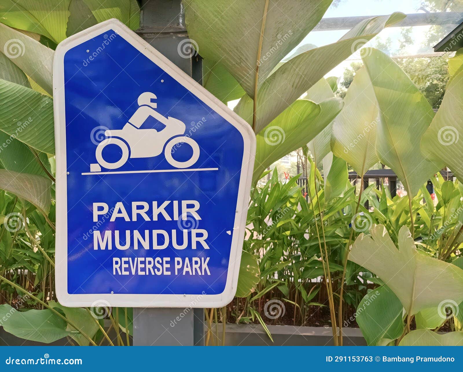 Symbol or Logo of Parking Sign with Reverse Position in Motorcycles ...