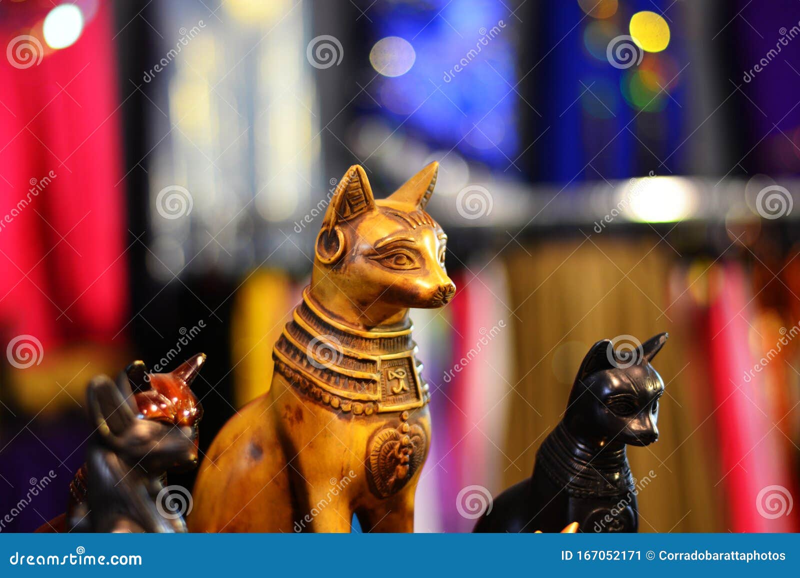 The Cats that the Deceased To the Pyramids Stock Image