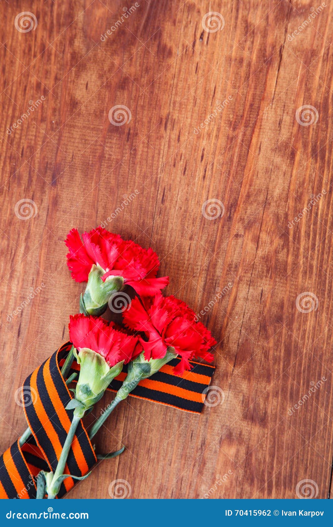 Symbols of Victory in Great Patriotic War three red flower and George ribbon on wooden table. Three red flower Symbols of Victory in Great Patriotic War on wooden,Victory Day. 9 May. selective focus image